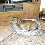 Phyllis Lester - @lesterphyllis - Instagram