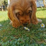 R. K. - @phyllis.liebefeld - Instagram