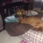 Phyllis Lombard - Facebook