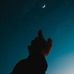 Lorenny Feliz - Facebook