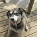 Phyllis Lund - Facebook