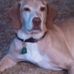 Phyllis Lund - Facebook
