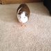 Mackey Phylis - Facebook