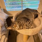 Phyllis Mackey - @phylmackey - Instagram