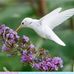 Phyllis Manning - Facebook