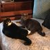 Phyllis Marsh - Facebook