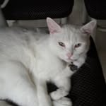 Phyllis Matheson - @p.m.matheson - Instagram