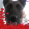 Phyllis Mathison - @phyllis007 - TikTok