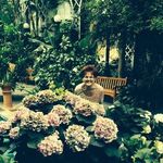 Phyllis Mayberry - @fab_phil71 - Instagram