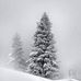 Phyllis Mayberry - Facebook
