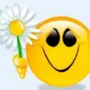 Phyllis Maynard - @phyllis.maynard5 - TikTok