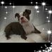 Phyllis McCabe - Facebook