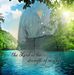 Phyllis McClain - Facebook