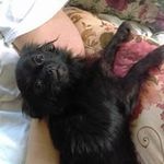 Phyllis Mcclain - @phyllis_mcclain - Instagram