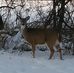 Phyllis McDowell - Facebook