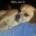 Phyllis McDowell - Facebook