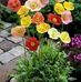 Phyllis Mcfarlane - Facebook