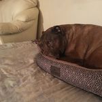 Phyllis McGuire - @phyllis_mcguire1 - Instagram