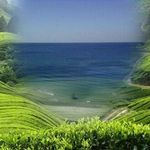Phyllis Mcguire - @phyllis.mcguire.52 - Instagram