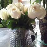Phyllis Merchant - @phyllismerchant - Instagram