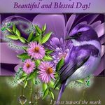 Phyllis Schumaker Merrell - @77phildawg - Instagram