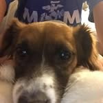 Phyllis Micken - @phyllis_micken - Instagram