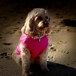 Phyllis Miles - @phyllismiles - Instagram