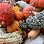 Phyllis Pearson Minton - @mintonphyllis - Instagram