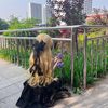 phyllismiranda3 - @phyllismiranda3 - TikTok