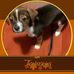 Phyllis Monroe - Facebook