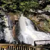 phyllismonroe785 - @phyllismonroe785 - TikTok
