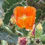 Phyllis Morse - @itsmrsmorse - Instagram