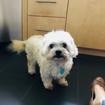 Phyllis Katz Mosher - @phylliskatzmosher - Instagram
