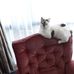 Phyllis Mott - Facebook