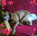 Phyllis Mulligan - Facebook