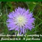 Phyllis Muncy - @phyllismuncy - Instagram