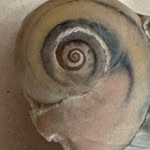 Phyllis Nash Schlesinger - @phyllisns45 - Instagram