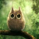 Phyllis Nolan - @mjma51 - Instagram