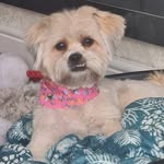 Phyllis Nolan Wheeler - @phyllisnolanwheeler - Instagram