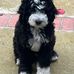 Phyllis O'Donnell - Facebook
