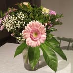 Ever Phyllis - Facebook
