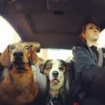 Phyllis Ogden - @phyllisadventures - Instagram