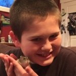 Phyllis Lapin Vance Olson - @phyllisthehamster - Instagram