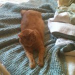Phyllis Olson - @phyllisruth - Instagram