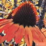 Phyllis olson - @phylols2 - Instagram