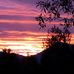 Phyllis Olson - Facebook