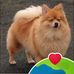 Phyllis O Neill - Facebook