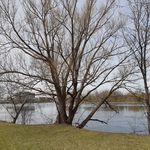 Phyllis O'Neil - @tpo2757 - Instagram