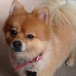 Phyllis O Neill - @phyllisoneill1 - Instagram