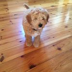 Phyllis ONeill - @phyllis.oneill.522 - Instagram